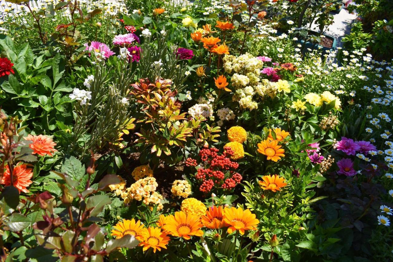 Hotel Garden Terrace İstanbul Dış mekan fotoğraf